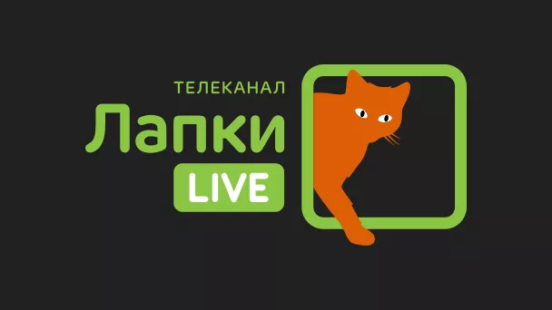 Лапки Live