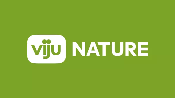 viju Nature